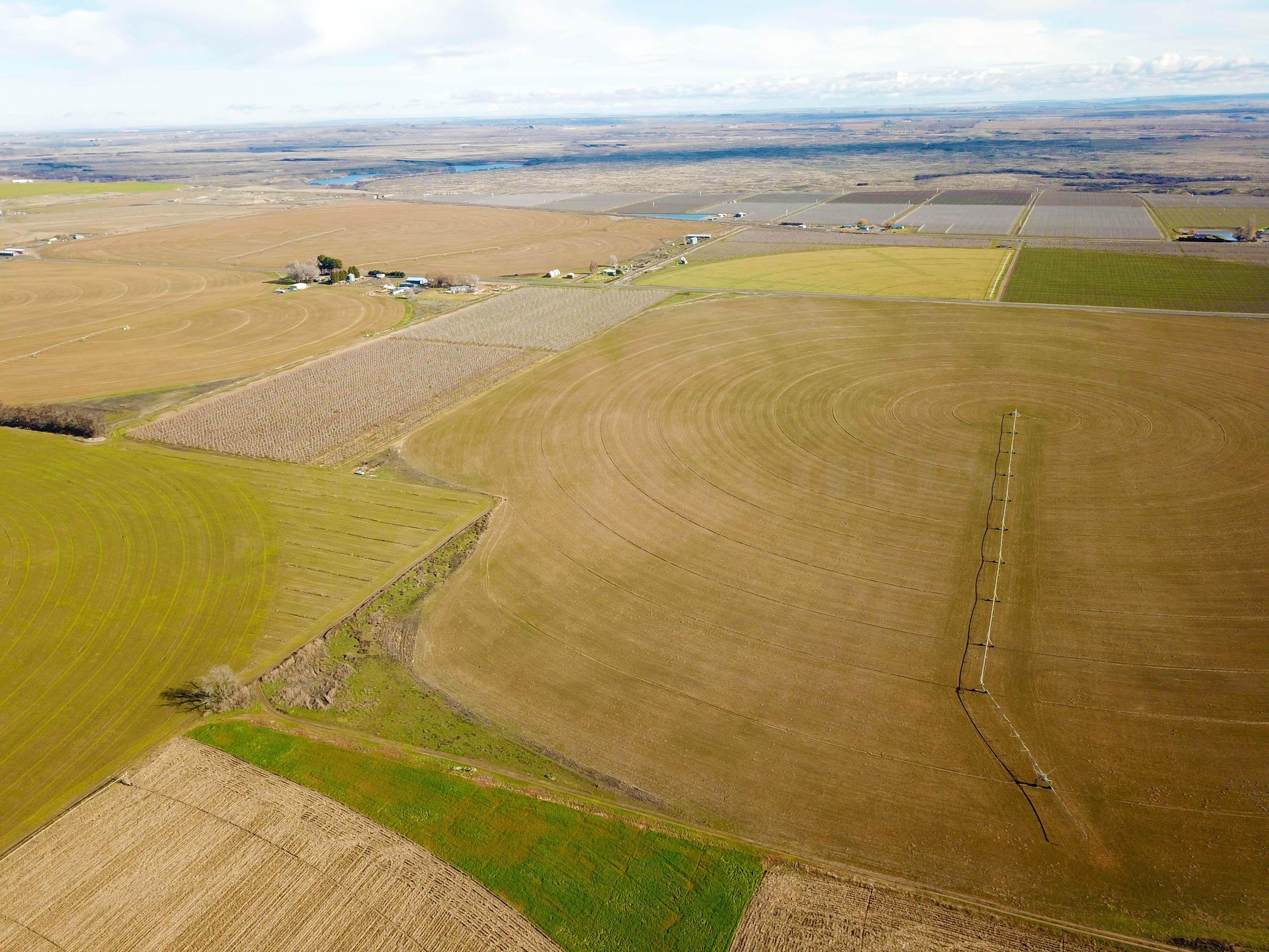 Fern Road Irrigated farm