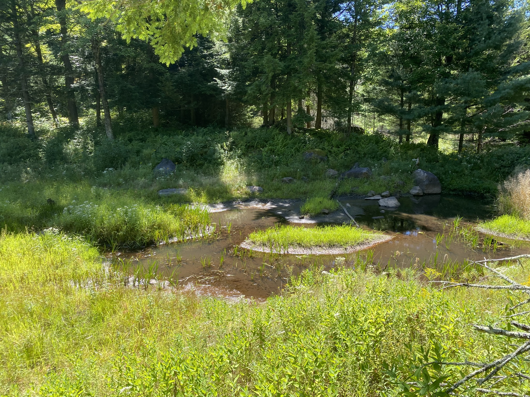 Plumb Brook Country Retreat