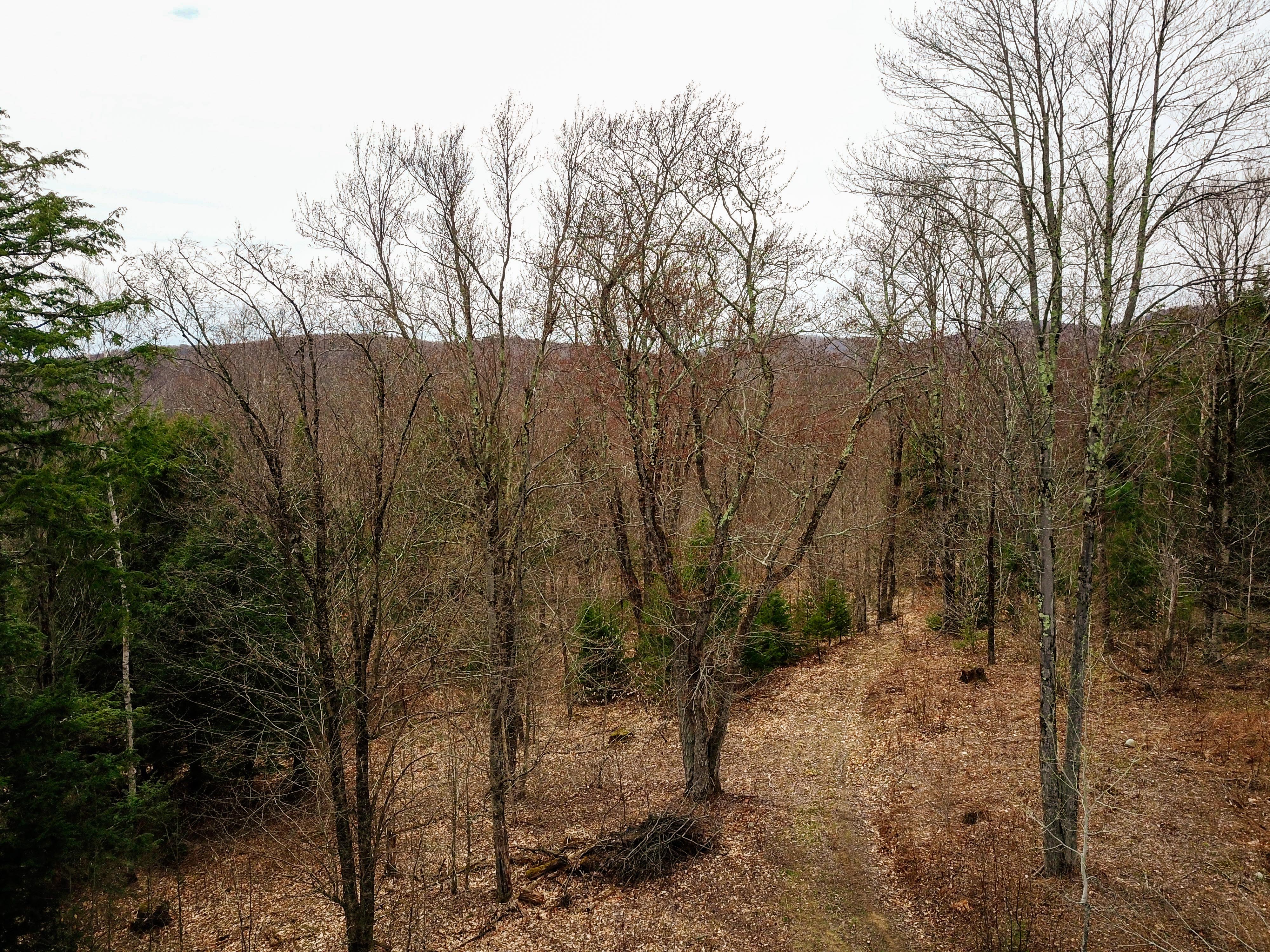 Listing Image 57