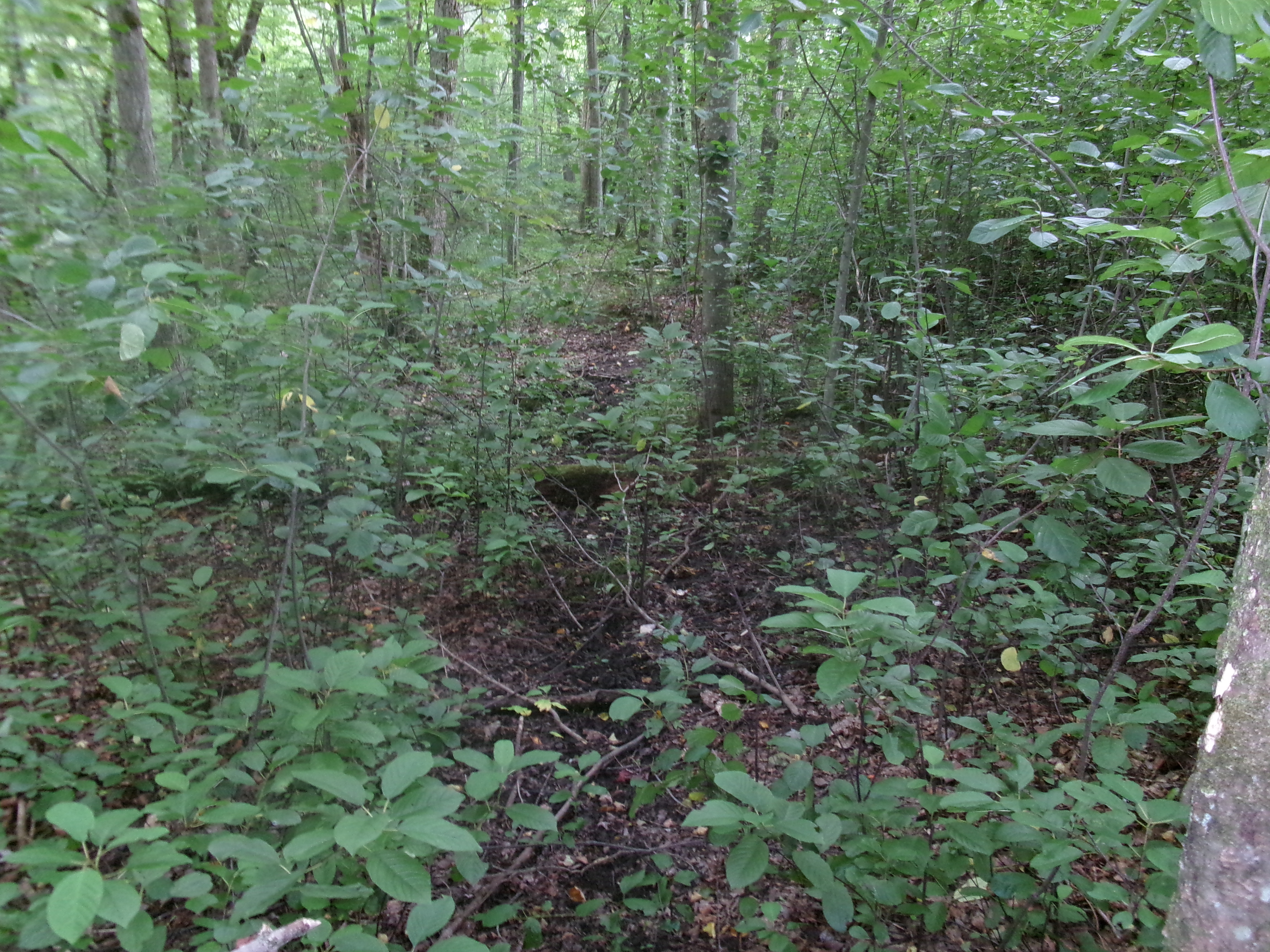 Listing Image 16
