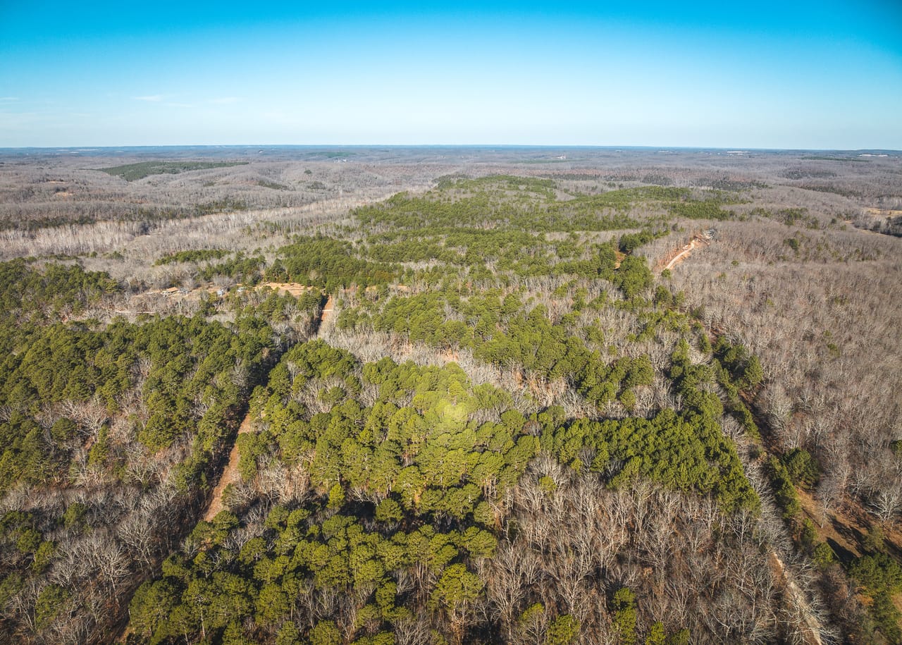 Listing Image 60