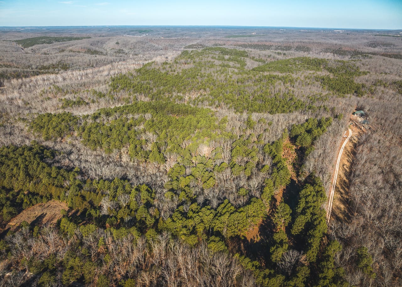 Listing Image 64