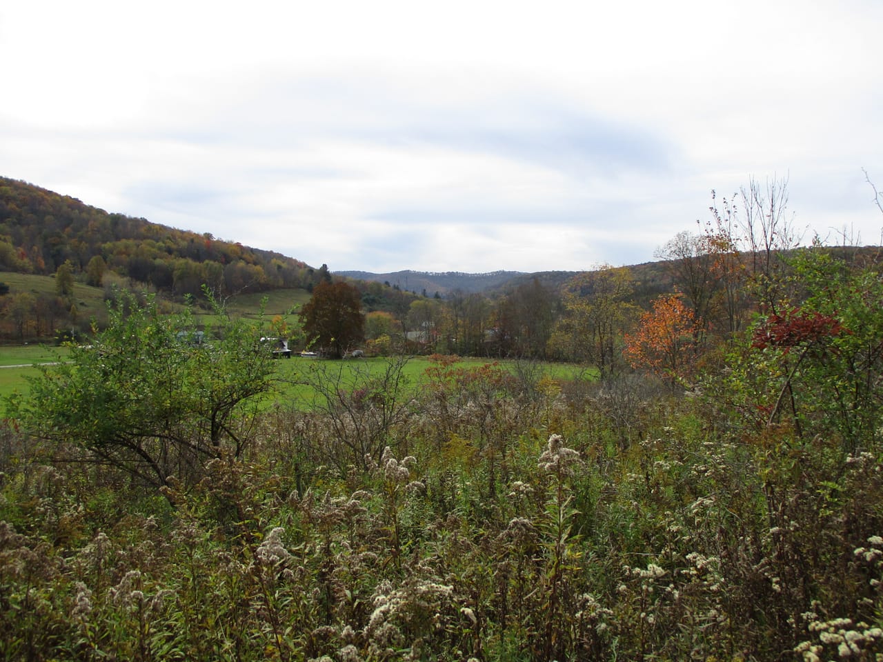 Listing Image 4
