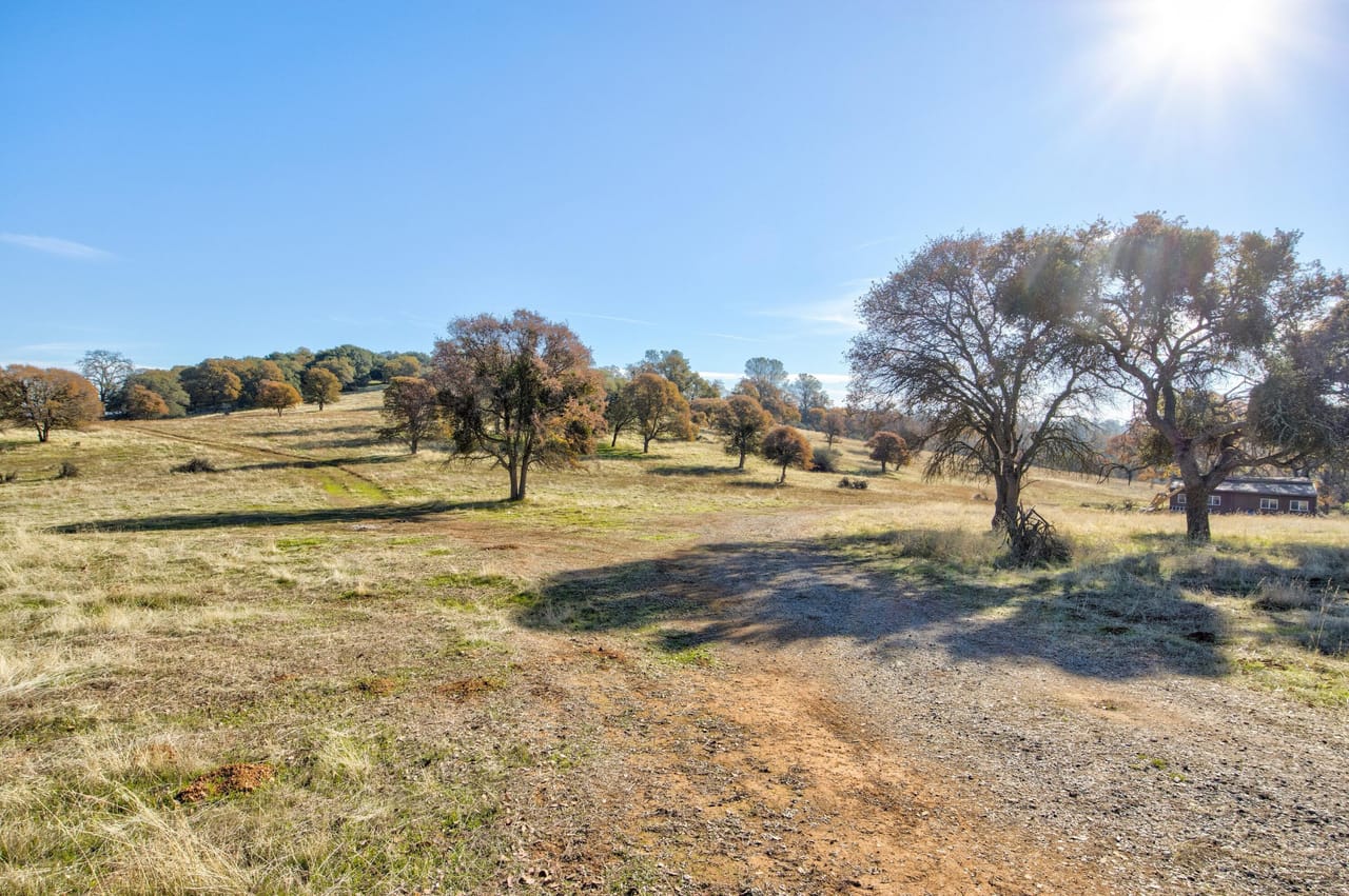 Listing Image 65