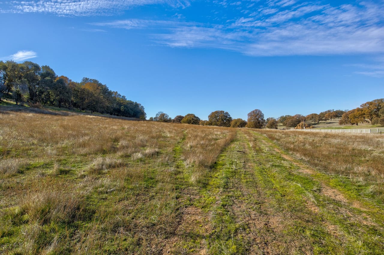 Listing Image 71