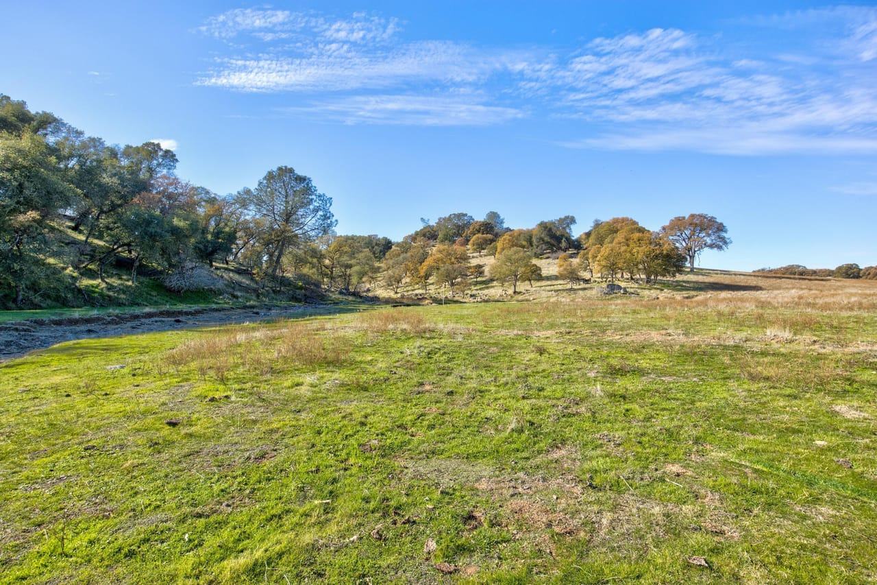 Listing Image 78