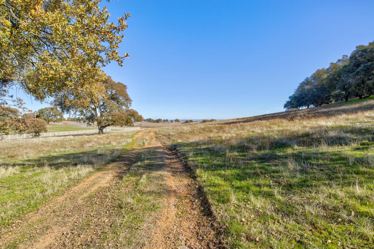 Listing Image 45