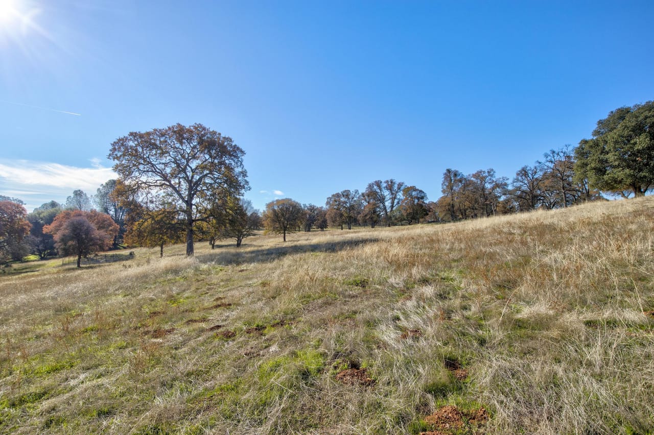 Listing Image 55
