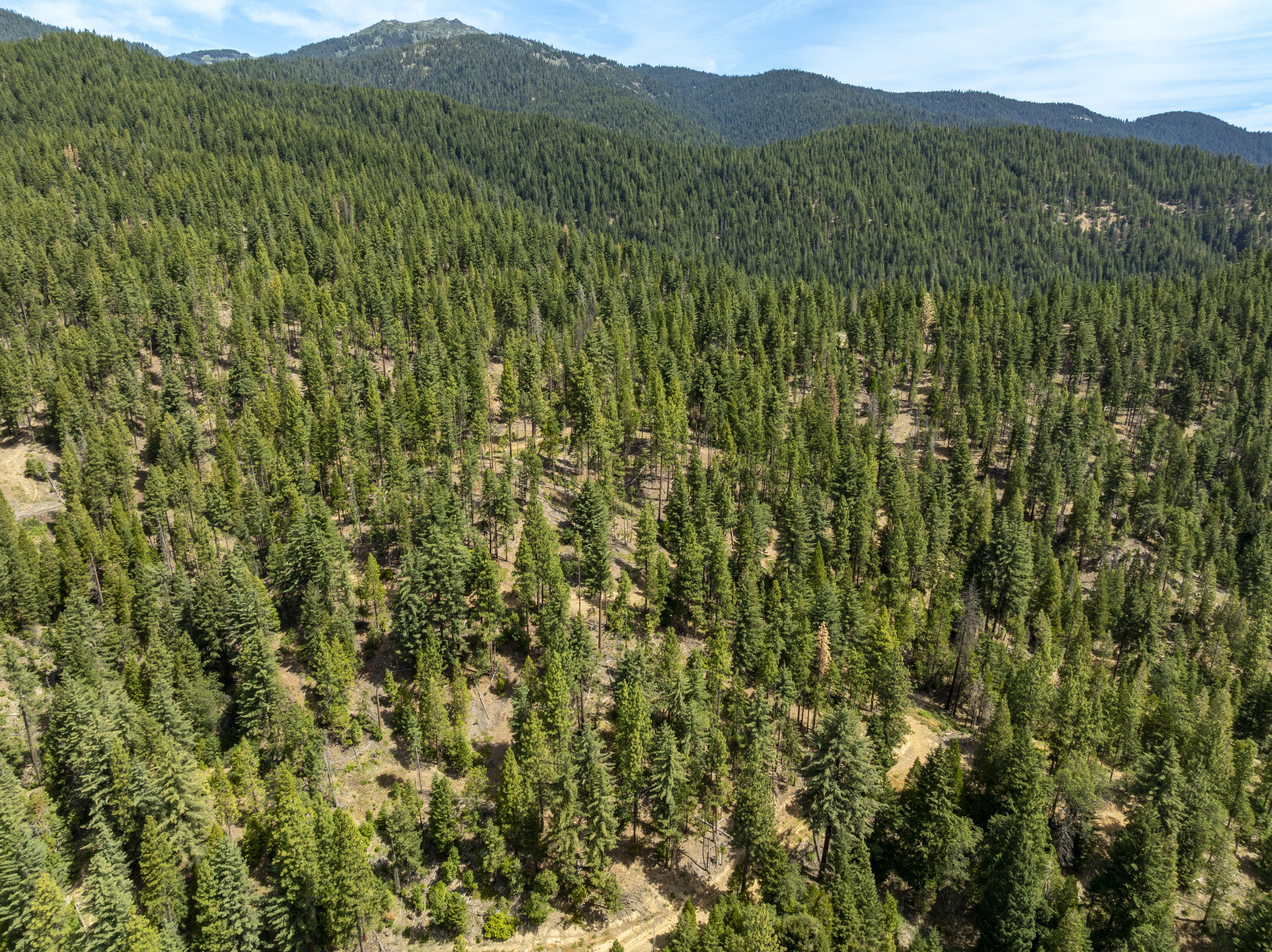 Listing Image 54