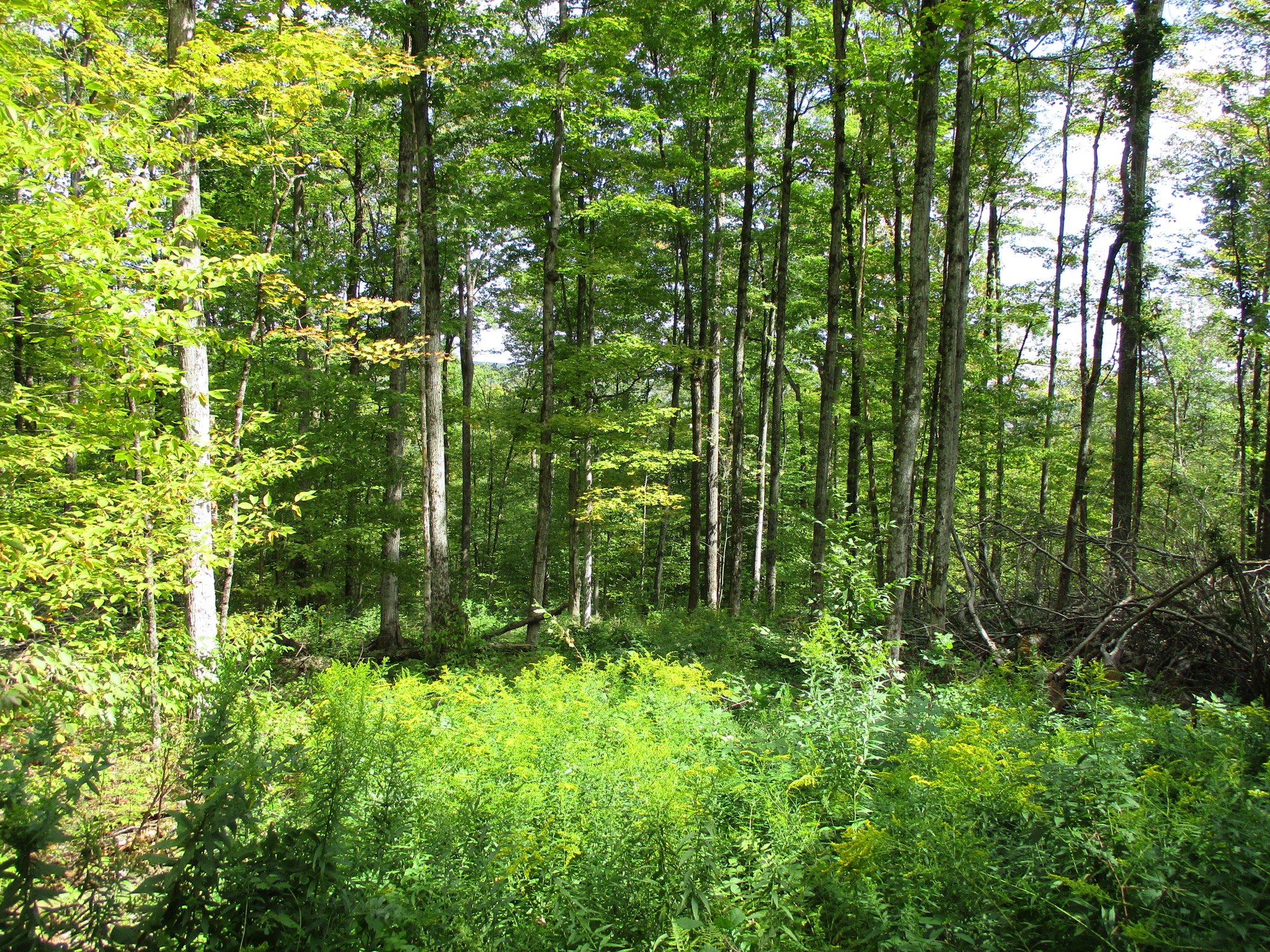 Listing Image 11