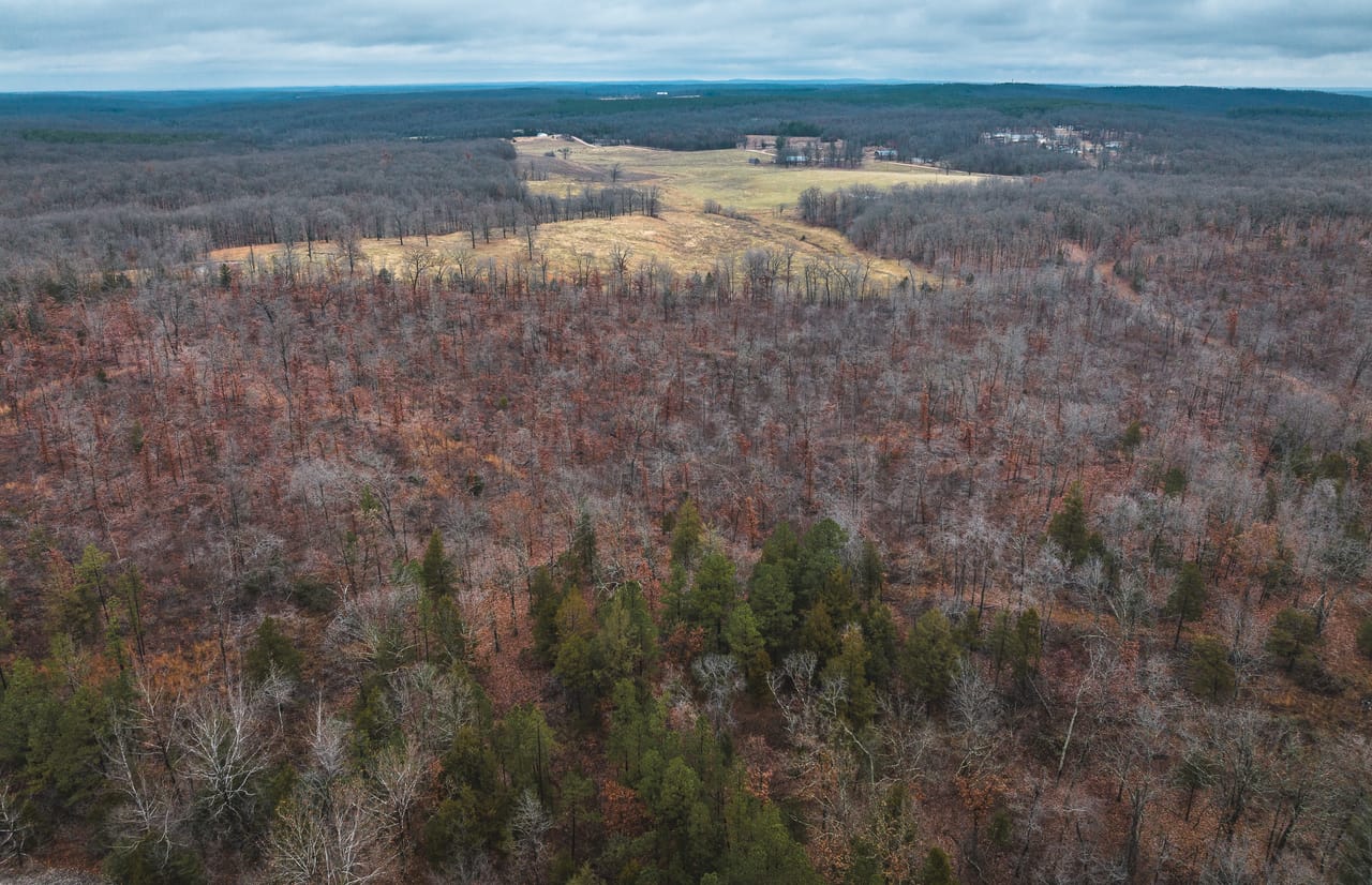 Listing Image 11