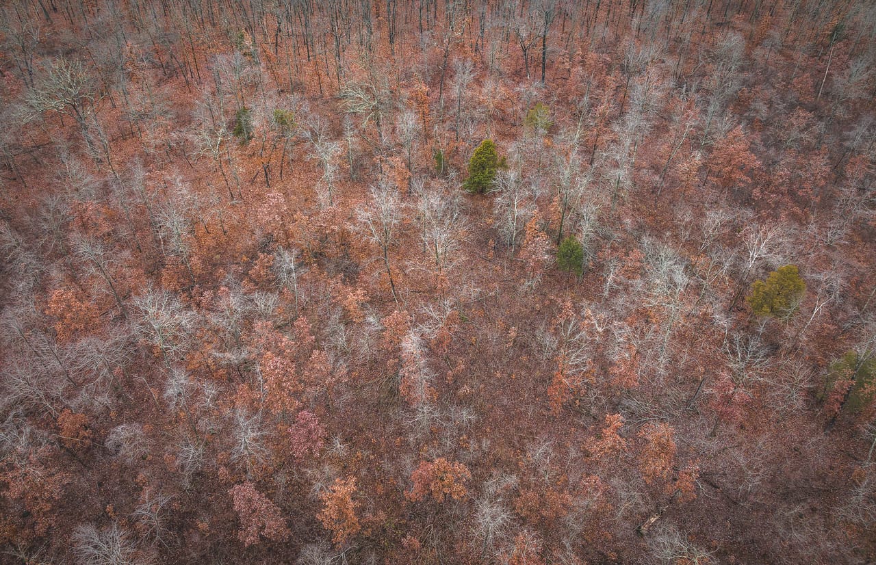 Listing Image 19