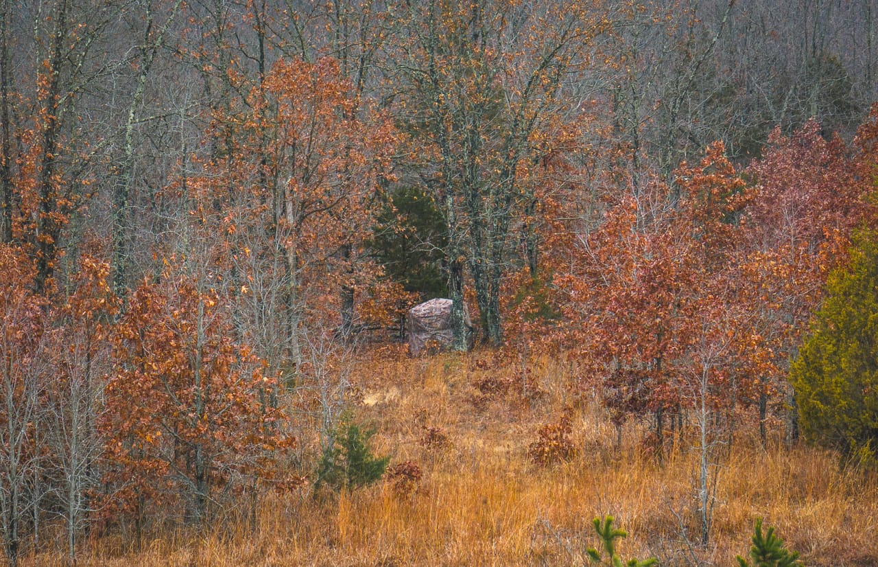 Listing Image 25