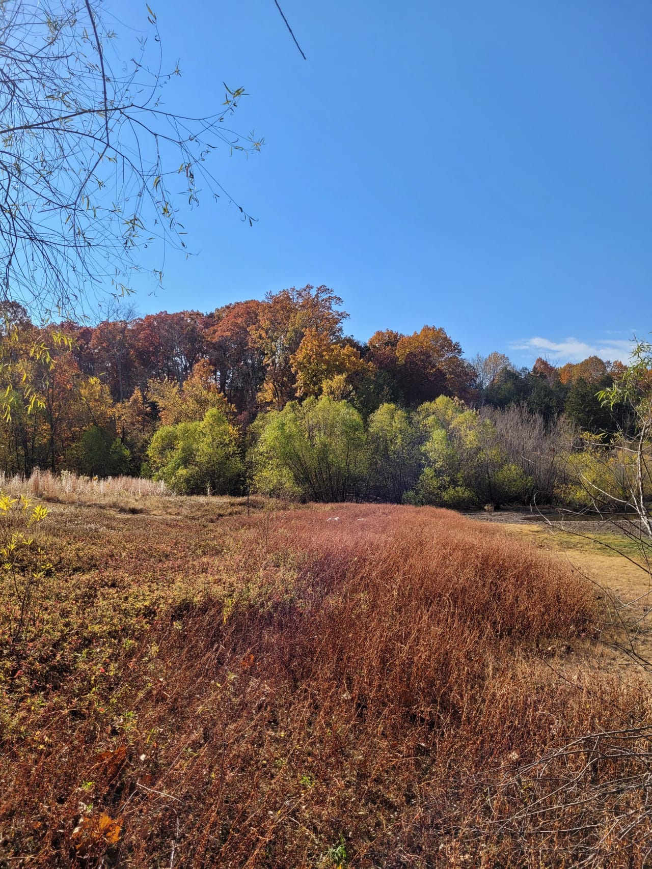 Listing Image 6