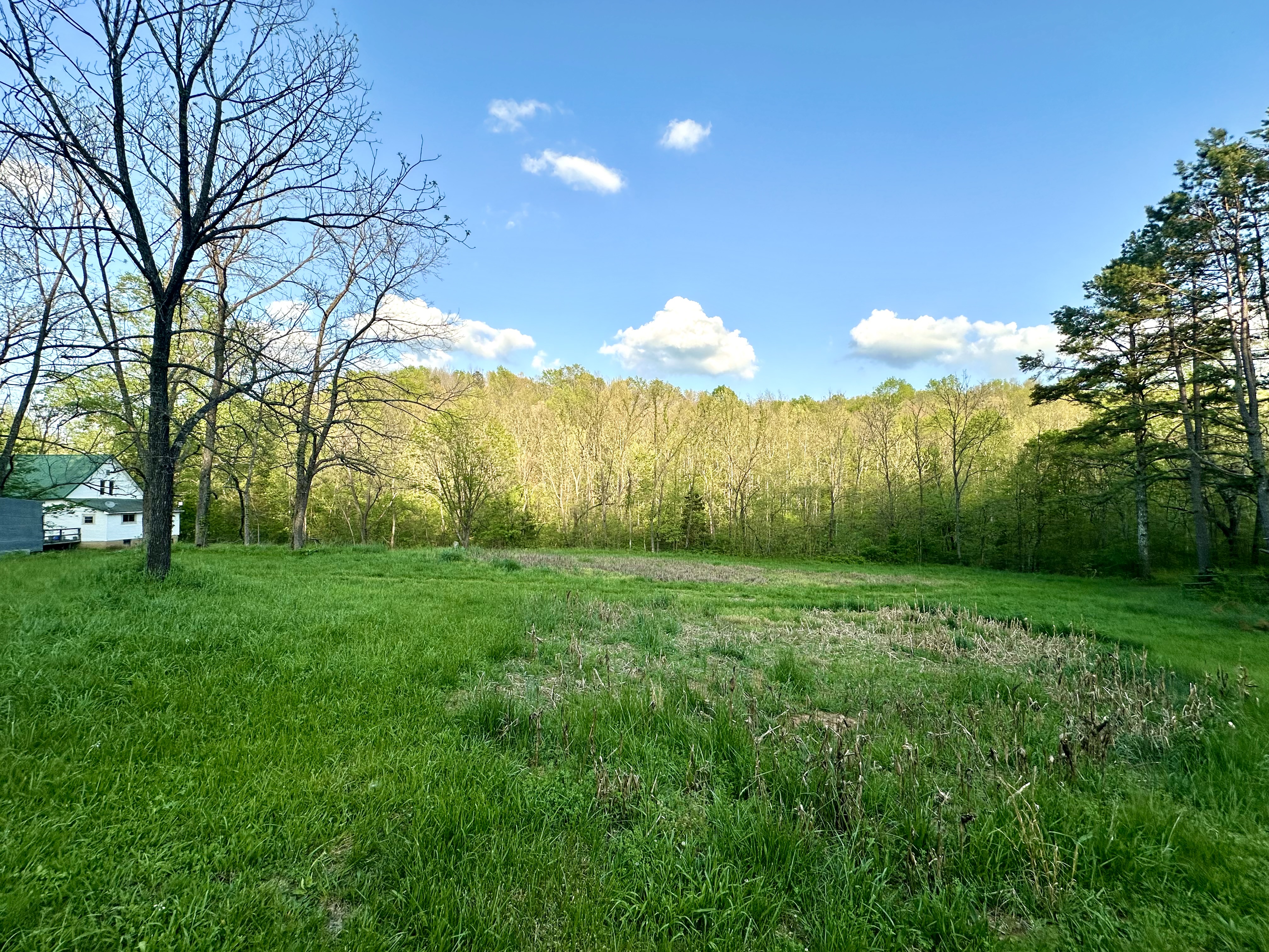 Wash Creek Retreat
