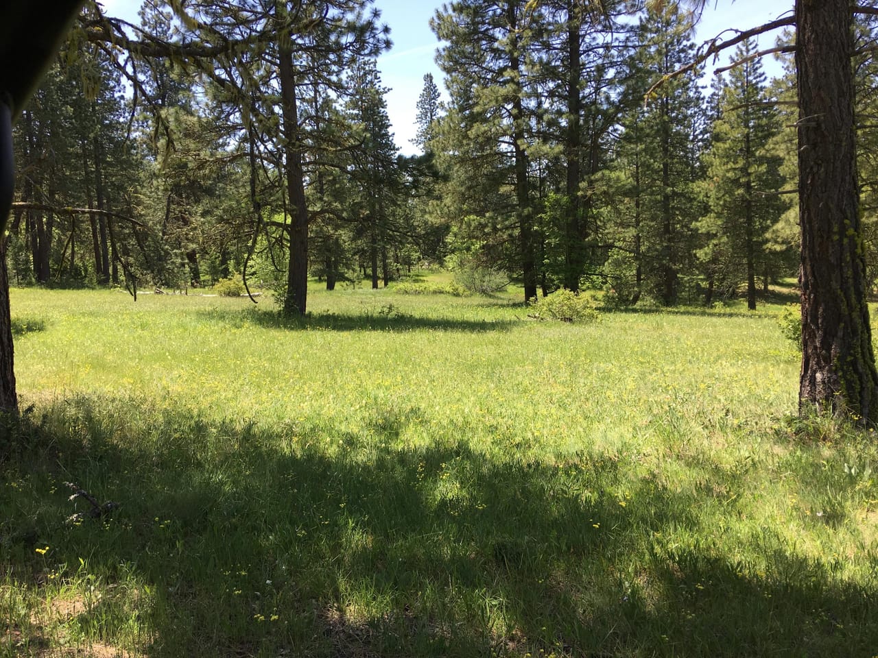 Listing Image 25