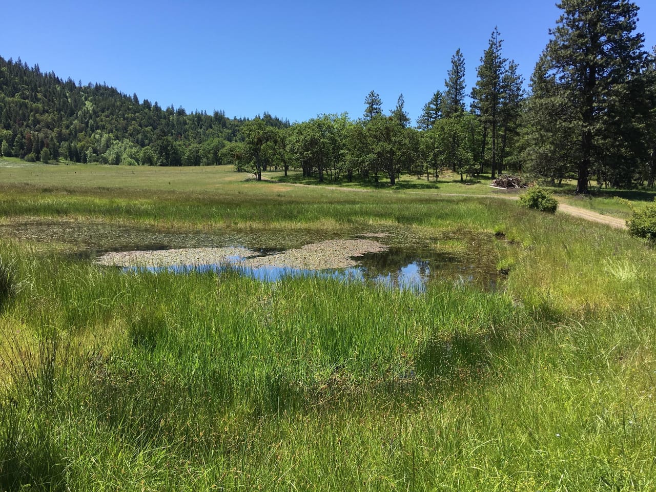 Listing Image 42