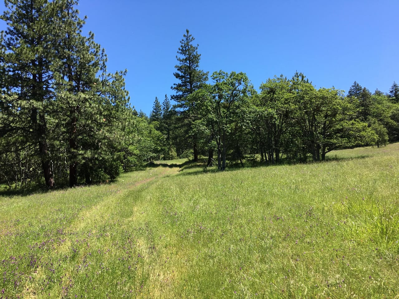 Listing Image 49