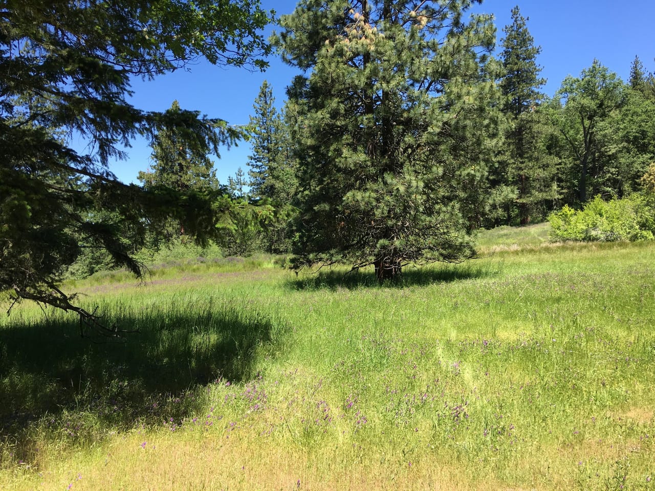 Listing Image 51