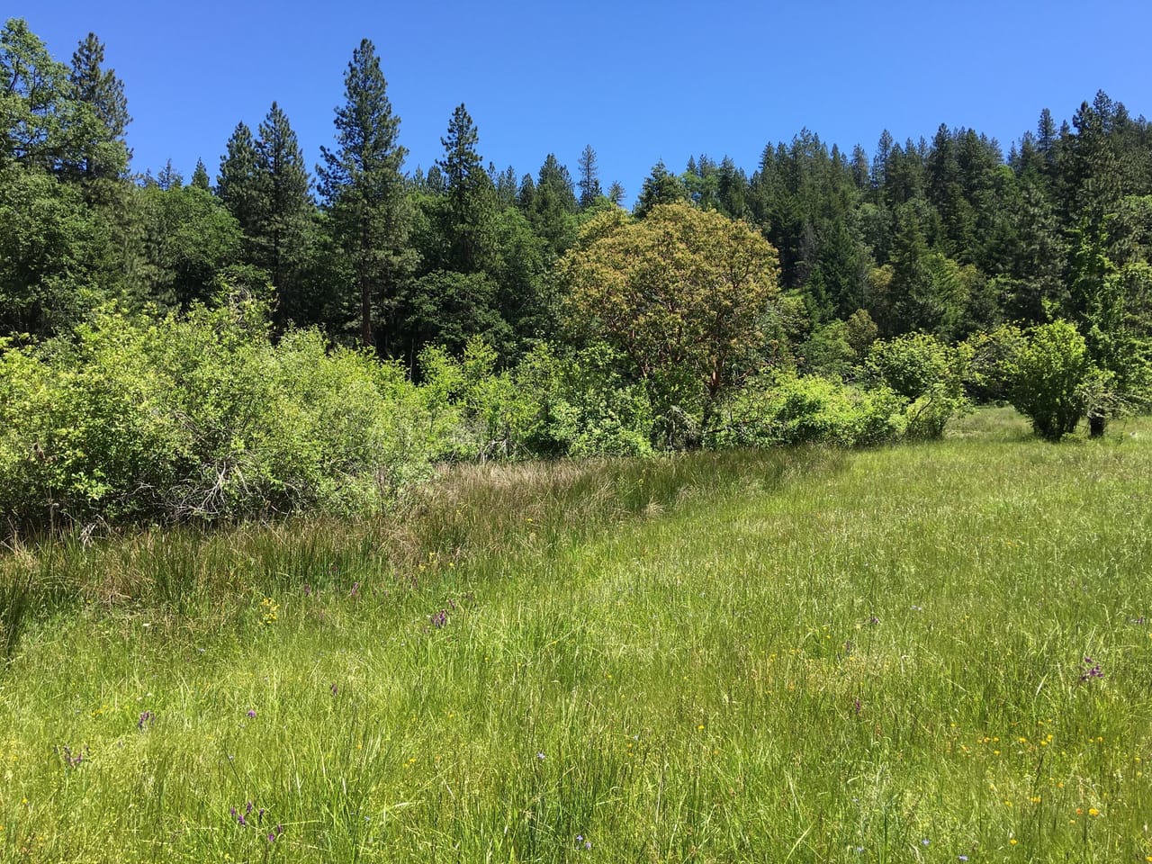 Listing Image 60