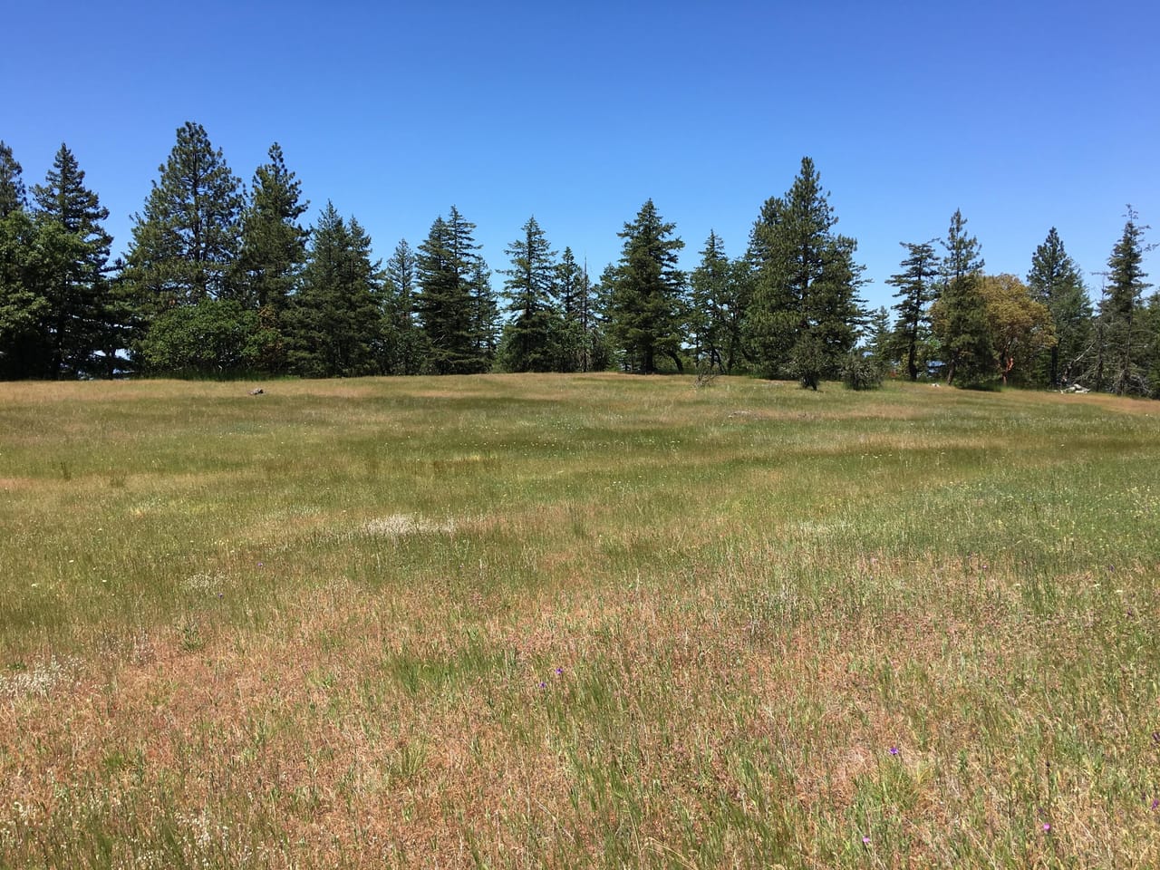 Listing Image 62