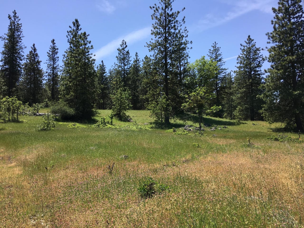 Listing Image 74