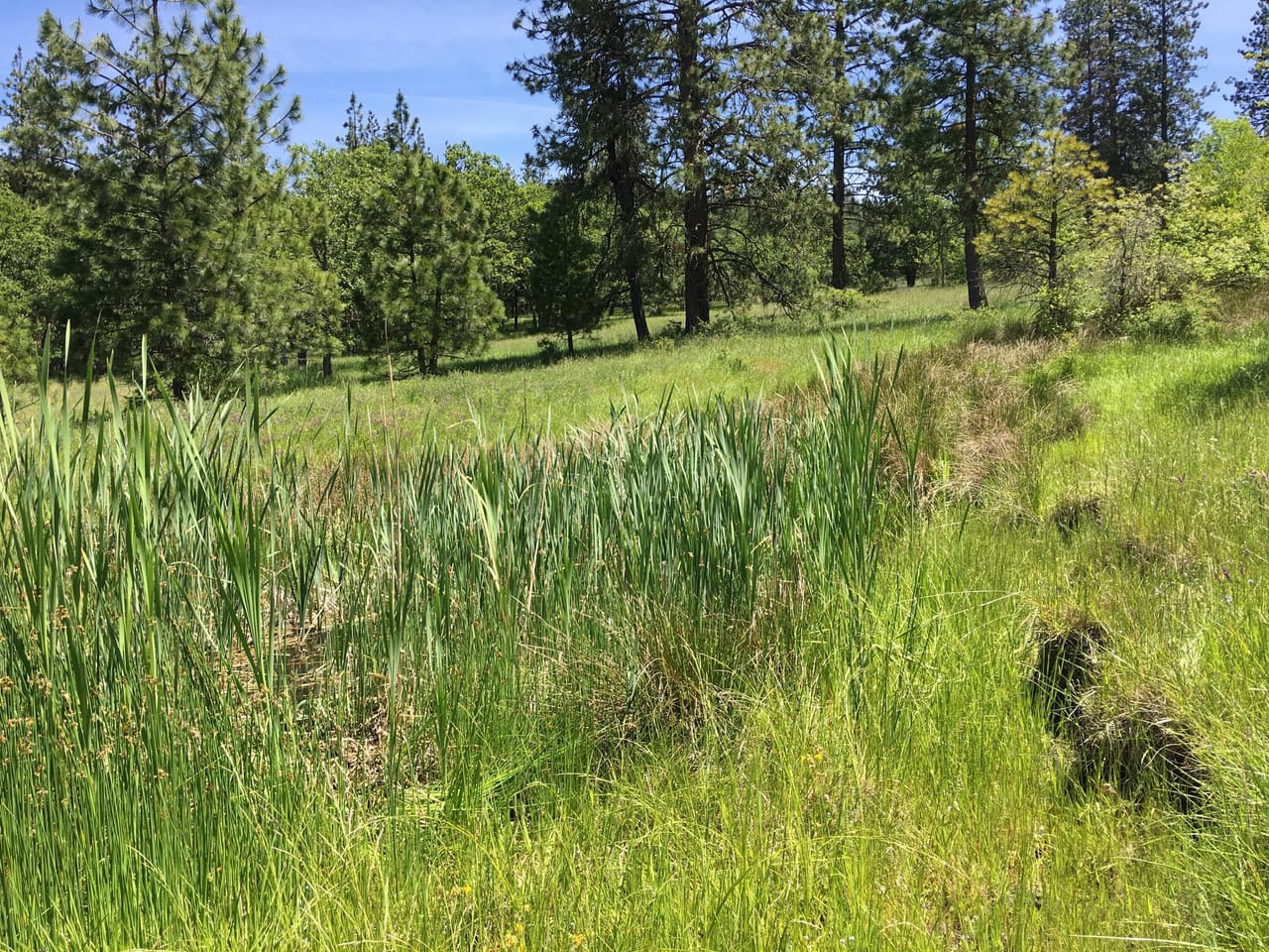 Listing Image 76