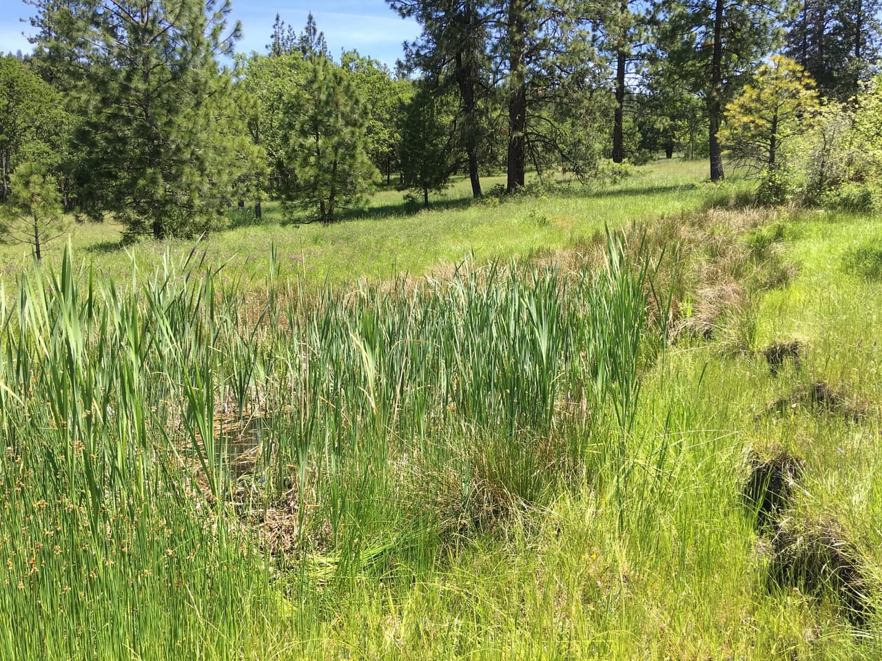 Listing Image 77