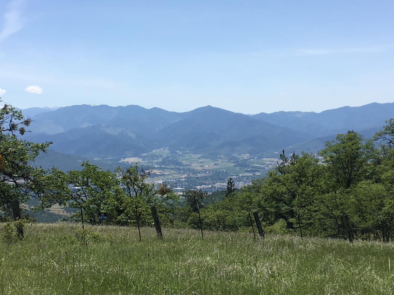 Listing Image 81