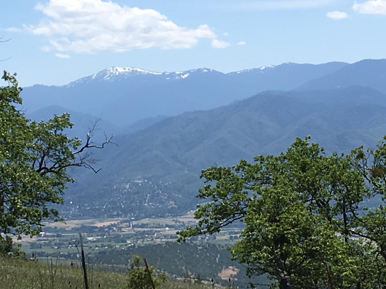 Listing Image 82