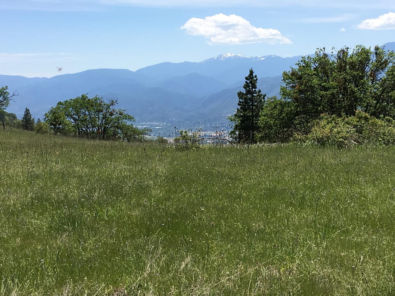 Listing Image 83