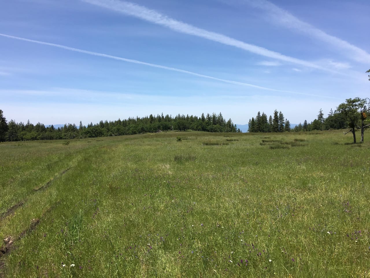 Listing Image 29
