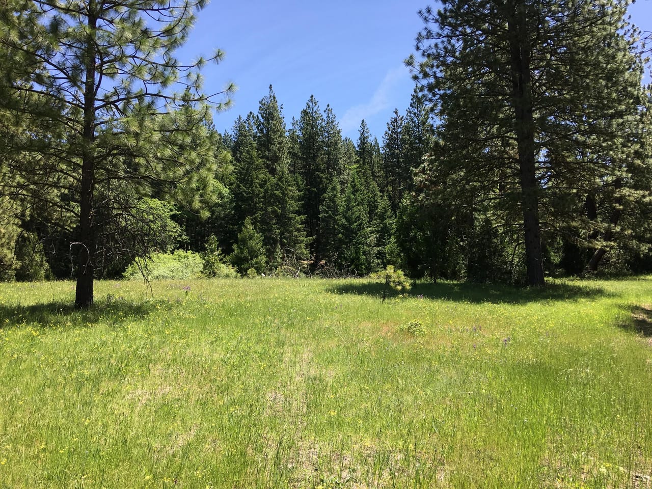 Listing Image 50