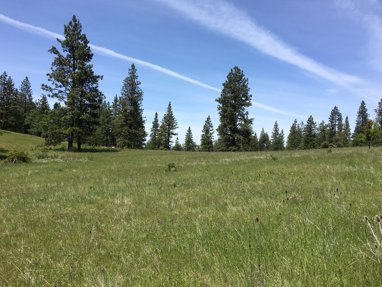 Listing Image 52
