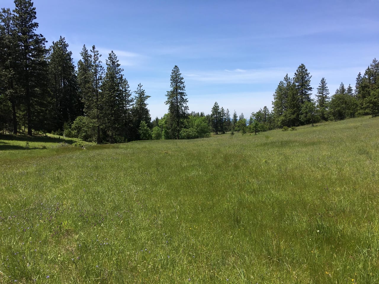 Listing Image 56