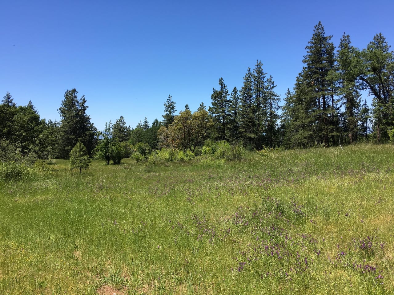 Listing Image 68