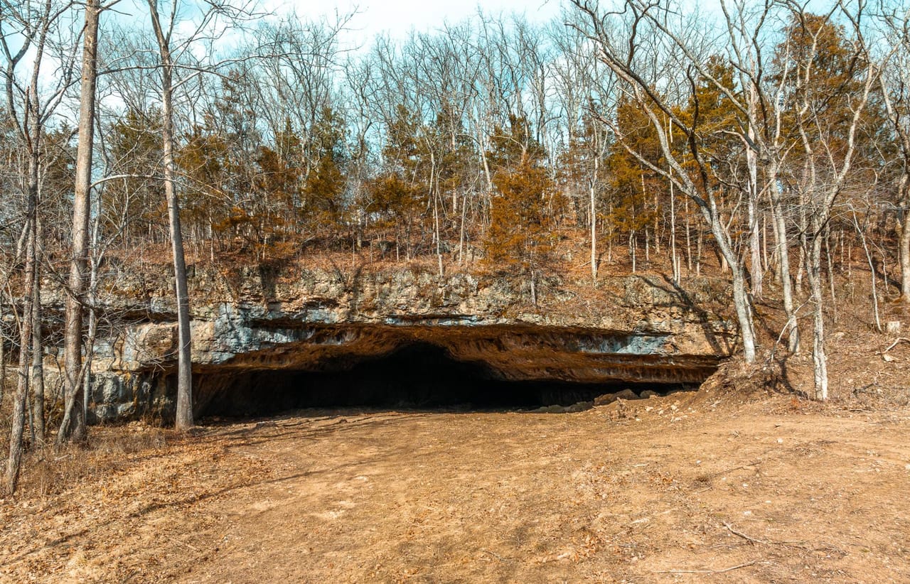 Listing Image 5