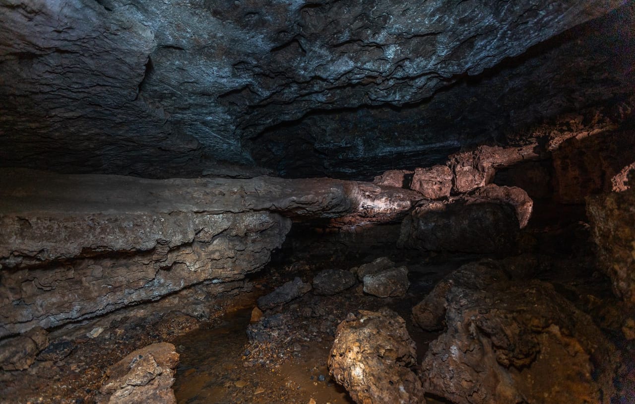 Listing Image 13