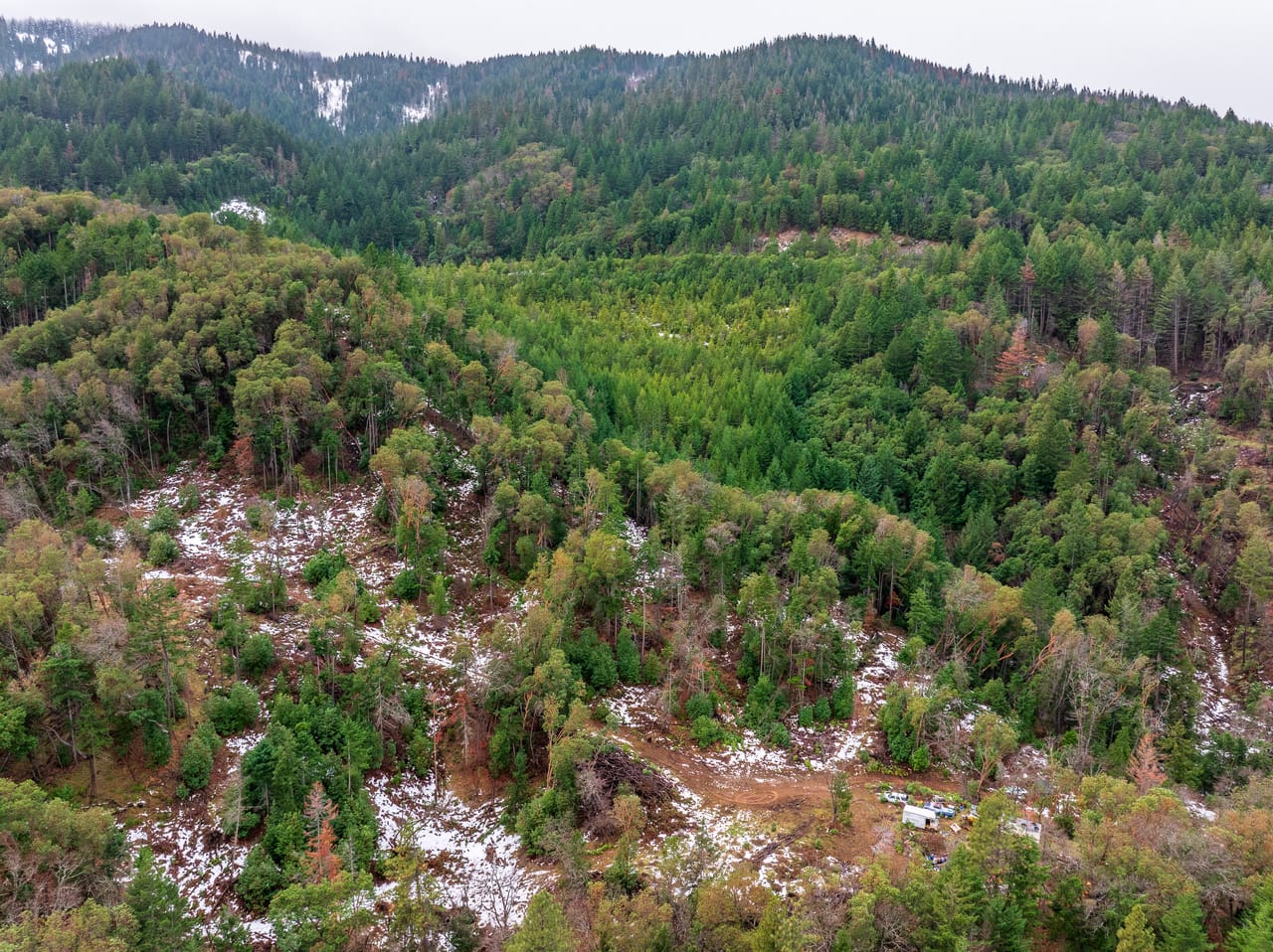 Listing Image 19