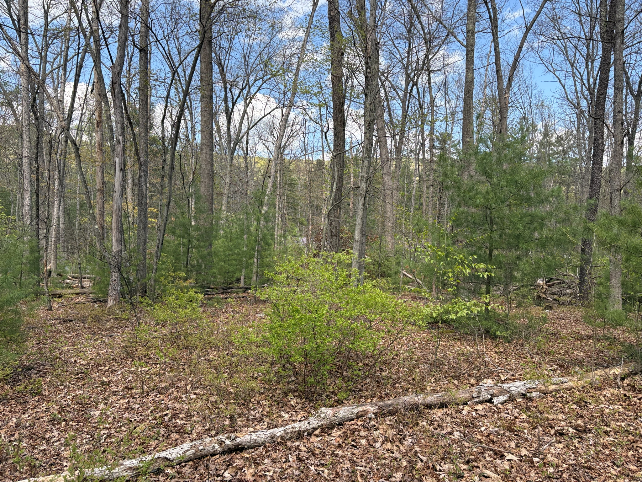 Listing Image 27