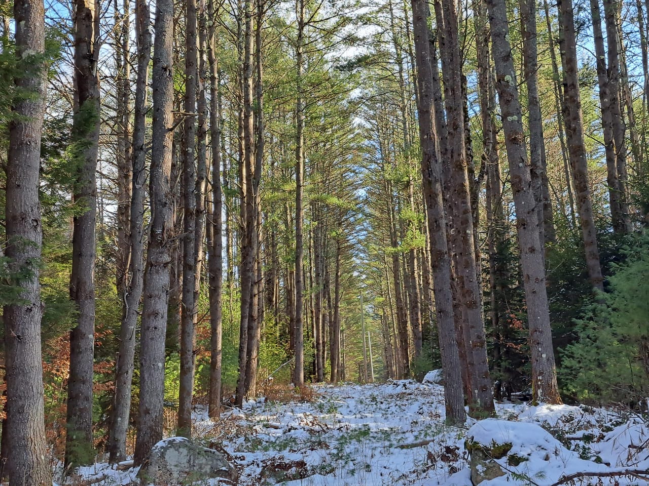 Rice Road Retreat
