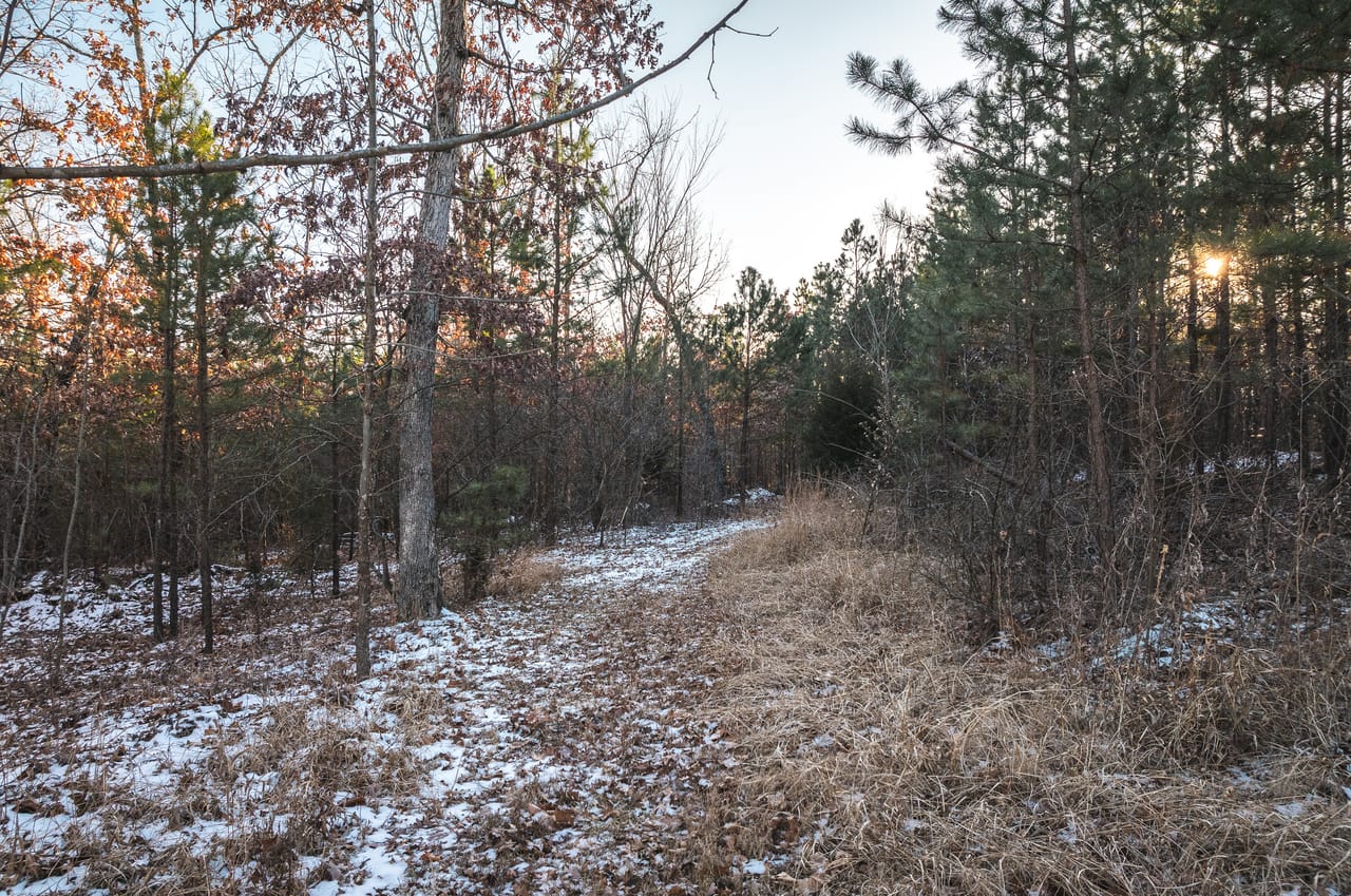 Listing Image 24