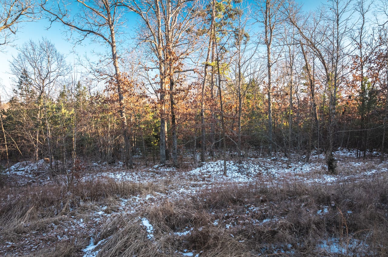 Listing Image 56