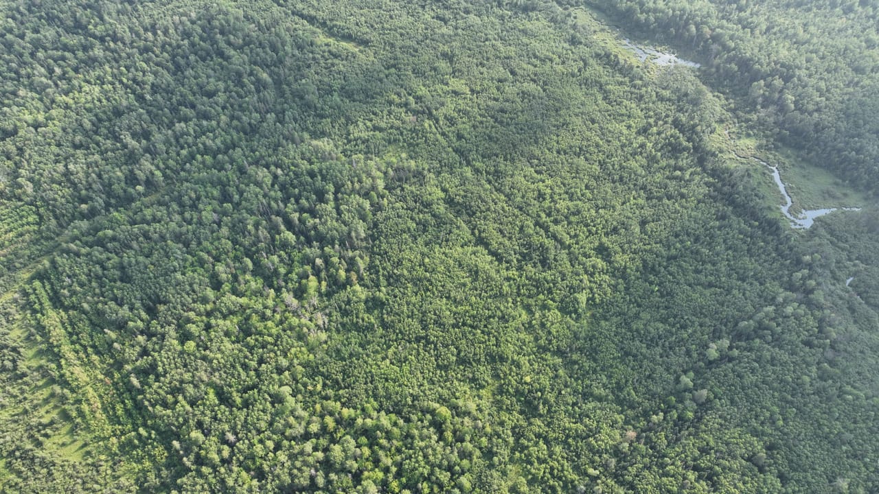 656 Acre Rec Property 50132077
