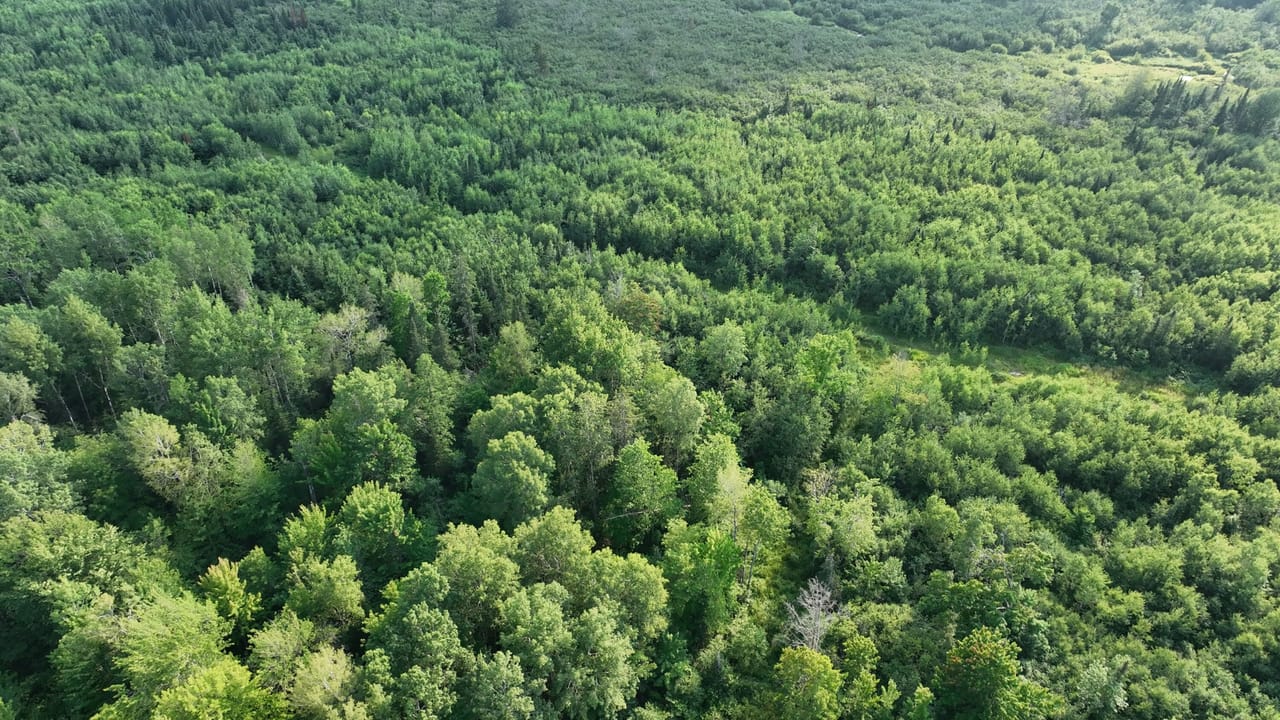 656 Acre Rec Property 50132077