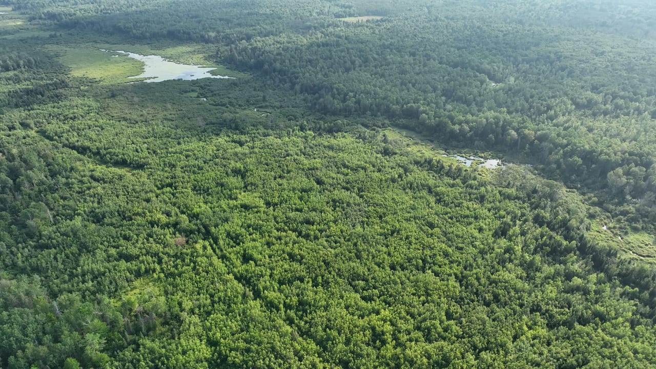 656 Acre Rec Property 50132077
