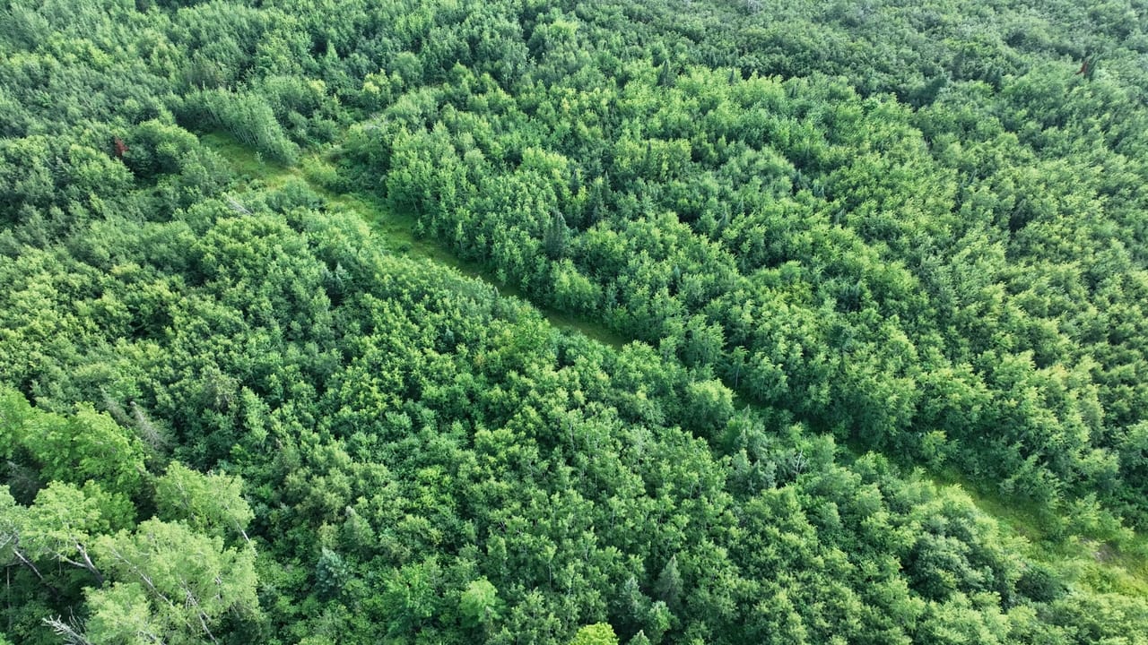656 Acre Rec Property 50132077