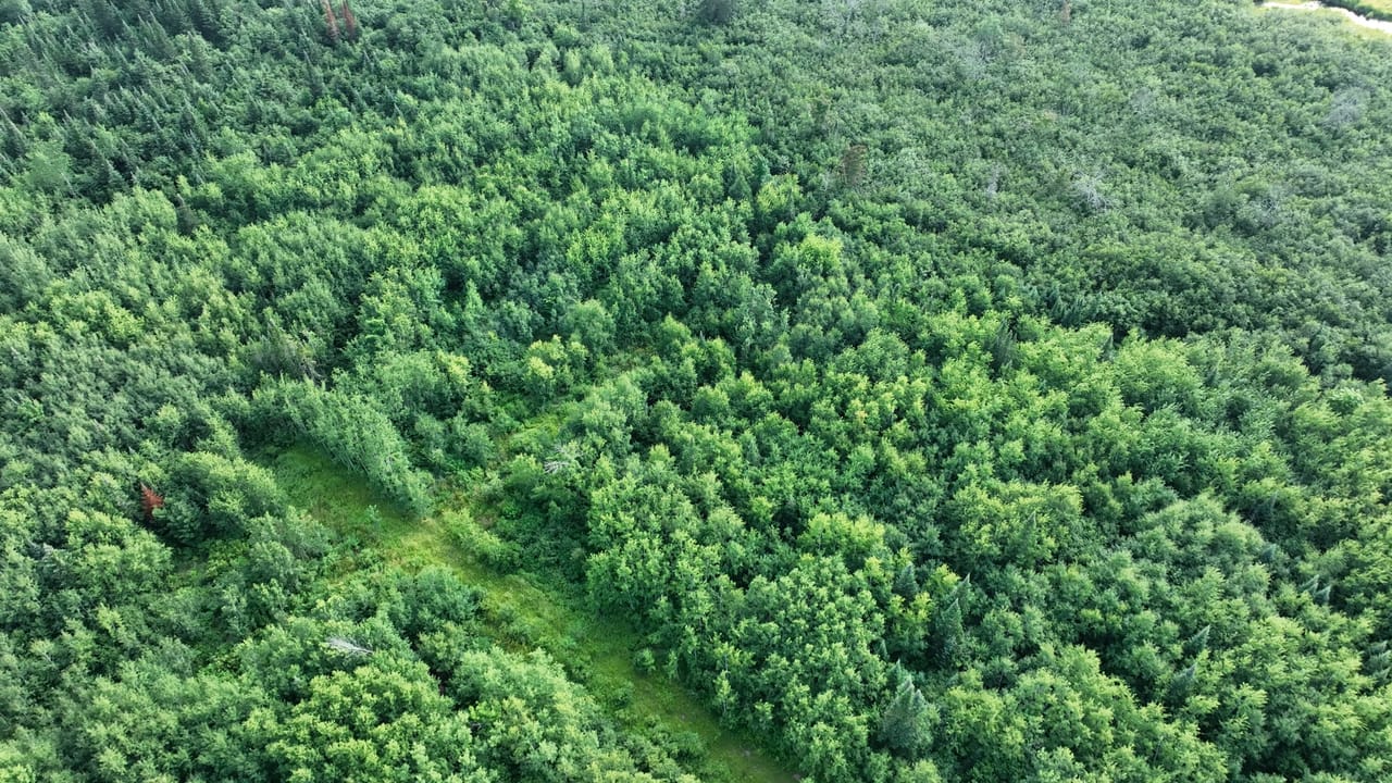 656 Acre Rec Property 50132077