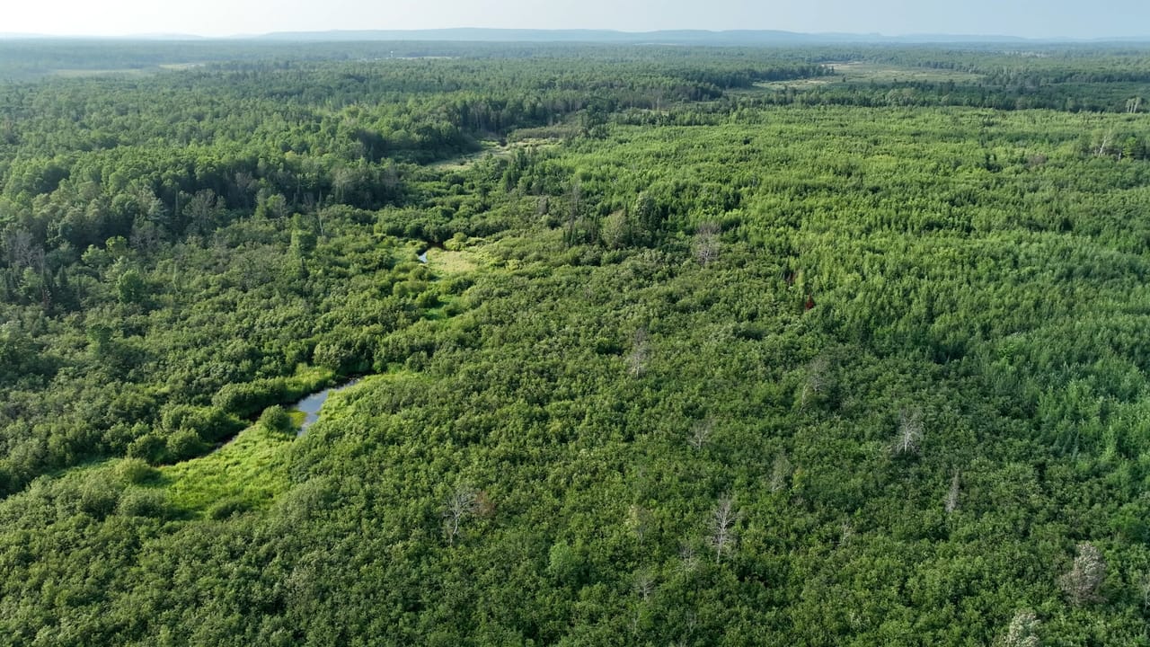 656 Acre Rec Property 50132077