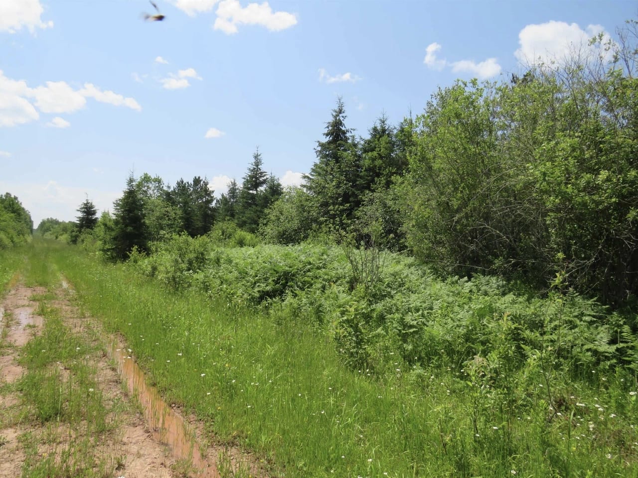 656 Acre Rec Property 50132077
